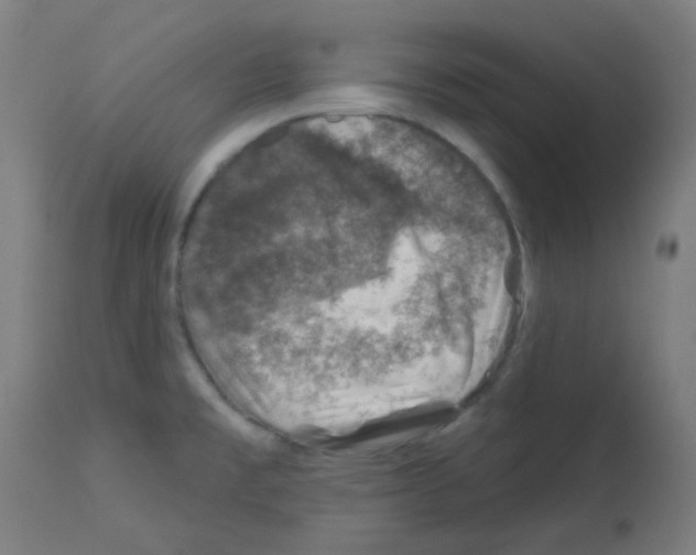 X0000113001477200910081146