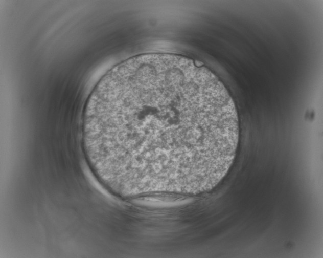 X0000113001479200910081146