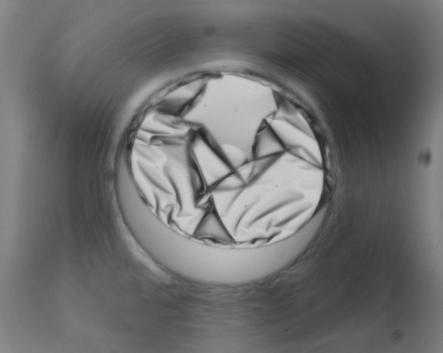 X0000113001480200910081146