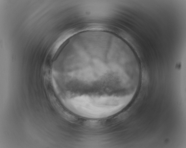 X0000113001481200910081146