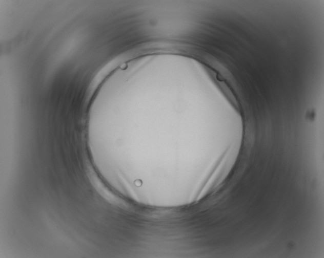 X0000113001482200910081146