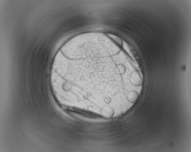 X0000113001483200910081146