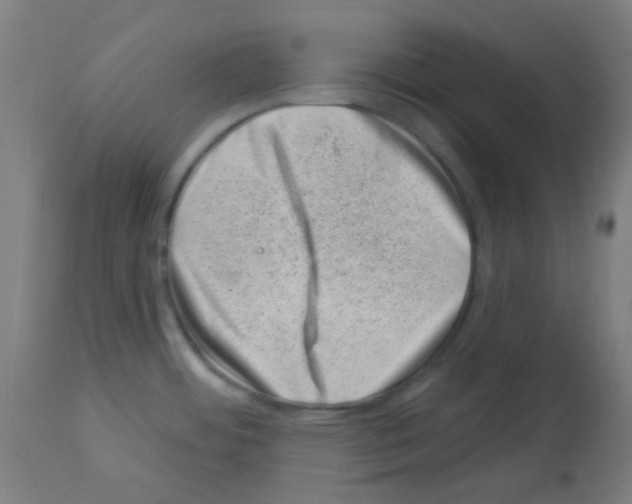 X0000113001484200910081146