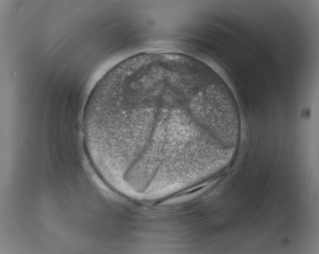 X0000113001485200910081146