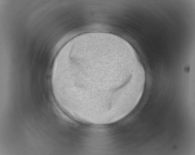 X0000113001486200910081146