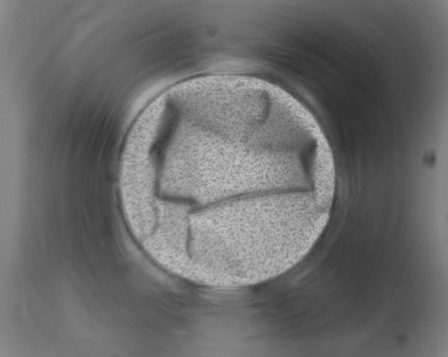 X0000113001487200910081146