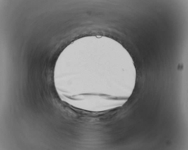 X0000113001490200910081145