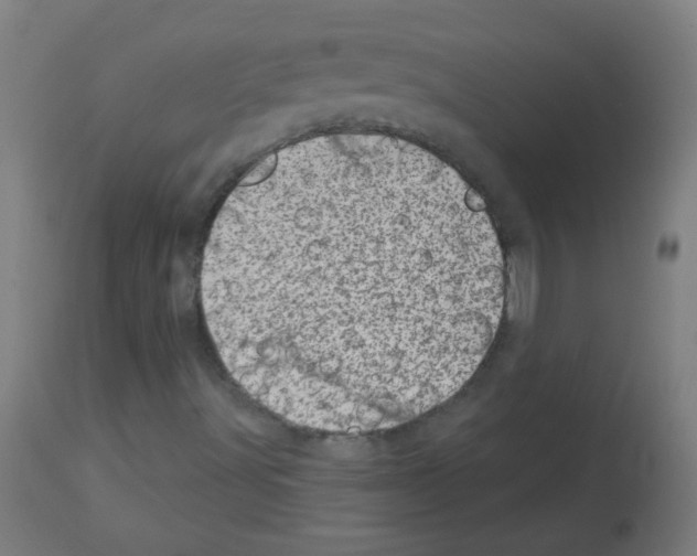 X0000113001491200910081145