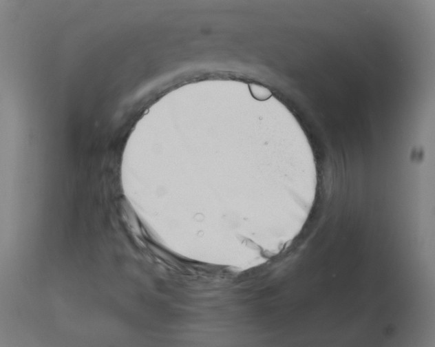 X0000113001494200910081145