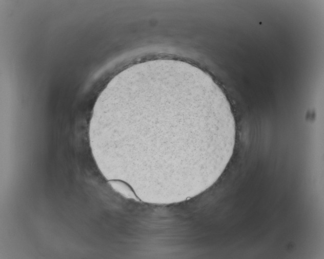 X0000113001495200910081145