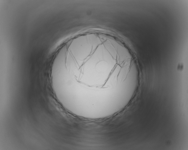 X0000113001496200910081145