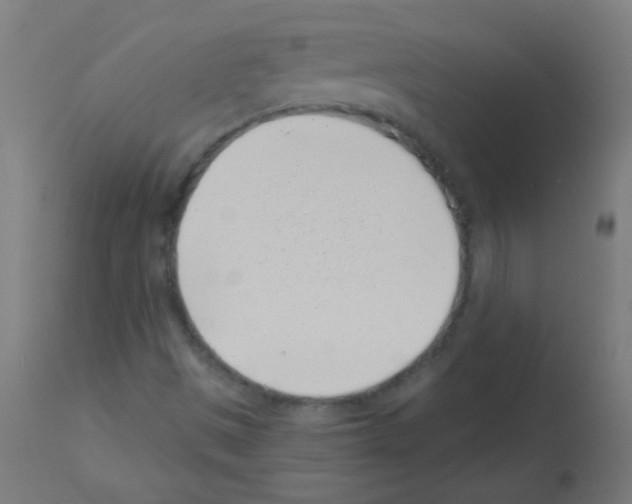 X0000113001497200910081145