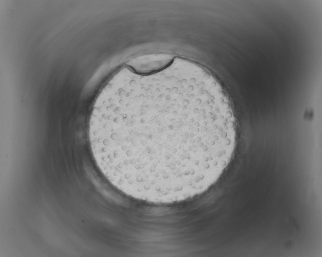 X0000113001499200910081145