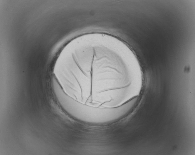 X0000113001502200910081145