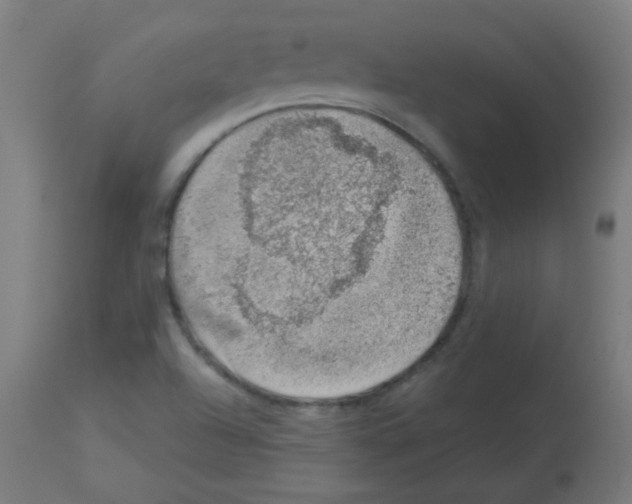 X0000113001504200910081145