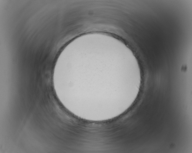 X0000113001505200910081145