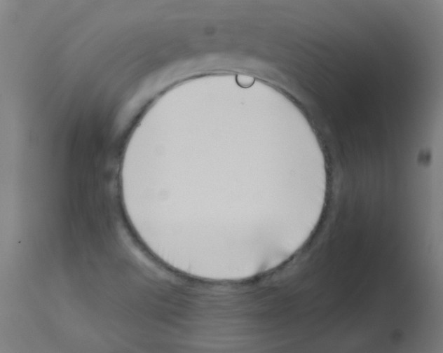 X0000113001507200910081145