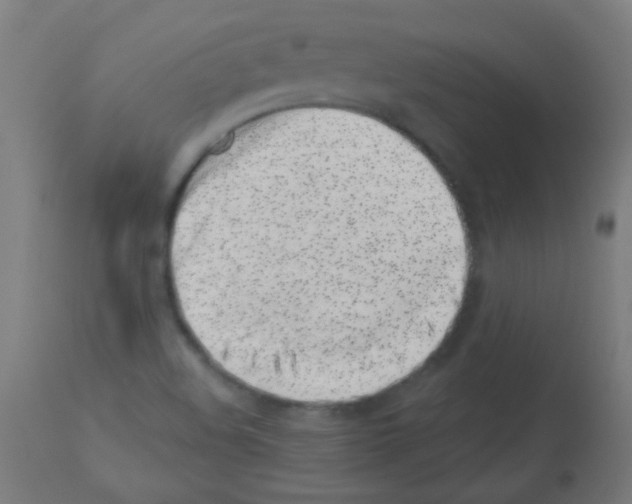 X0000113001508200910081145