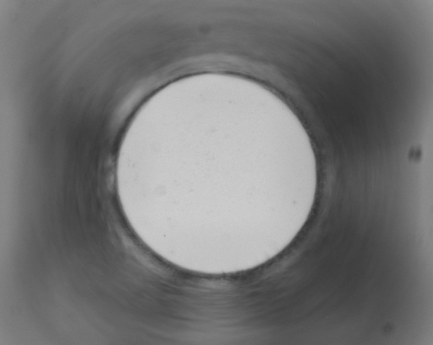 X0000113001509200910081145