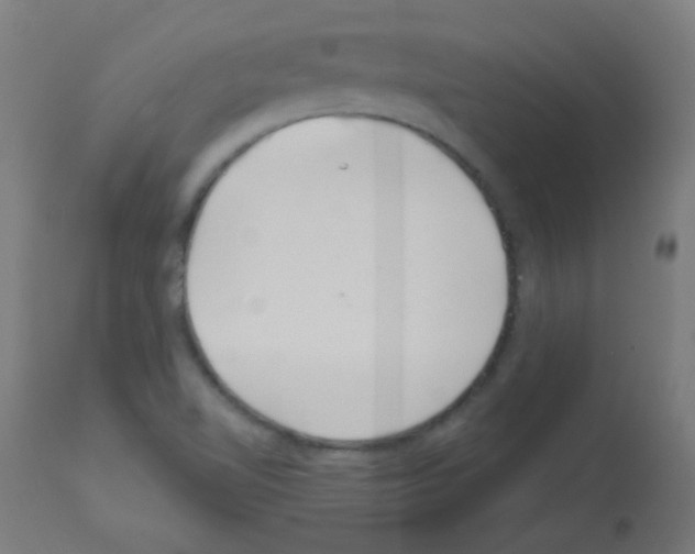 X0000113001510200910081145