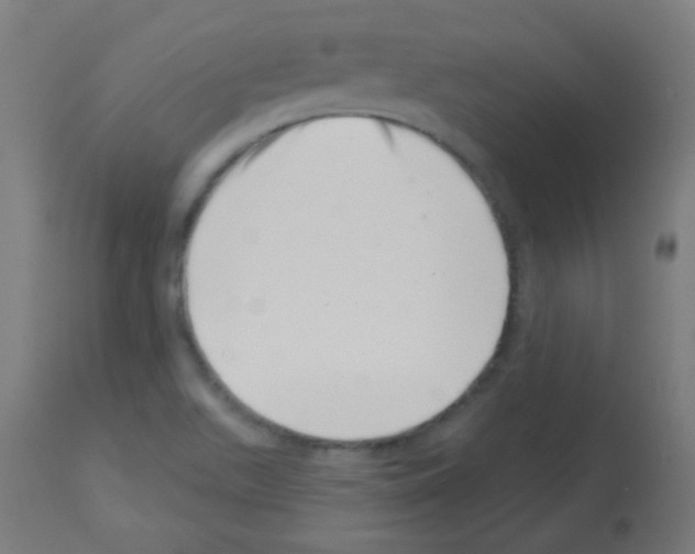 X0000113001511200910081145