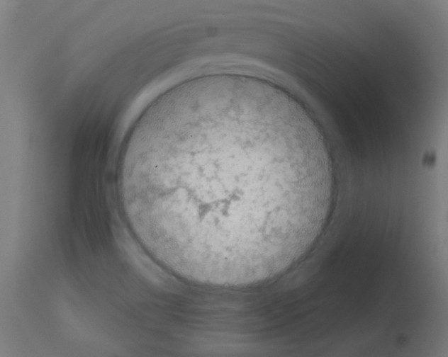 X0000113001514200910081145