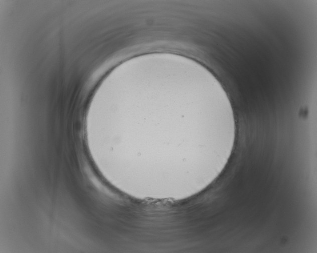 X0000113001515200910081145