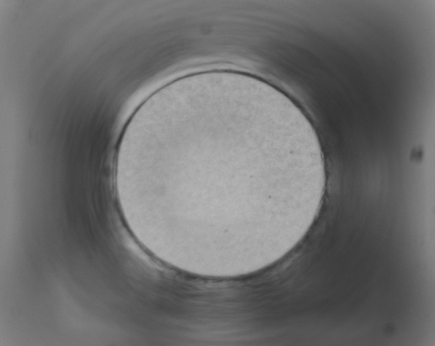 X0000113001516200910081145