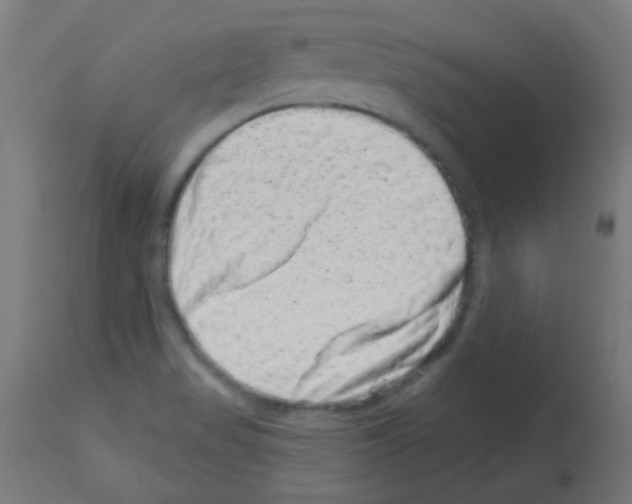 X0000113001517200910081145