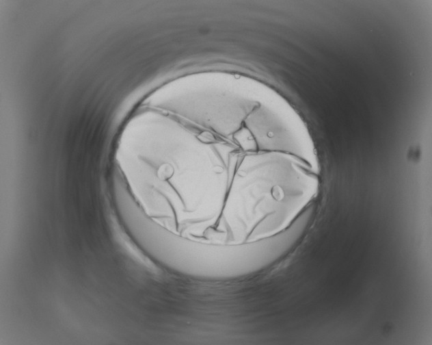 X0000113001518200910081145