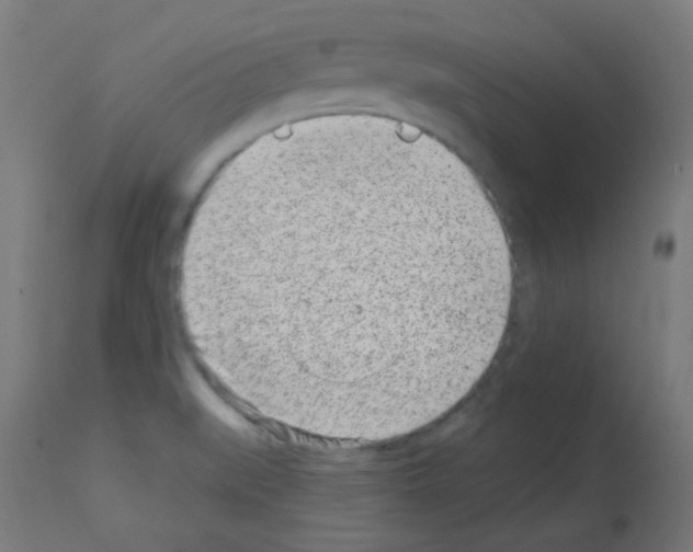 X0000113001519200910081145