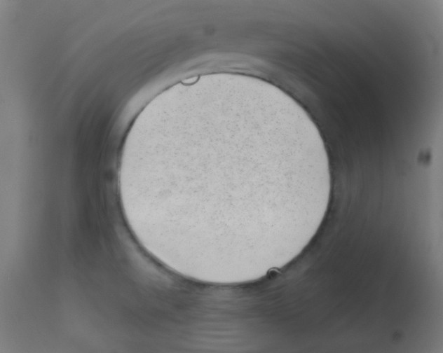 X0000113001520200910081145