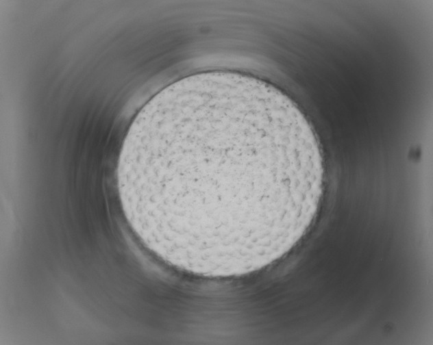 X0000113001521200910081145