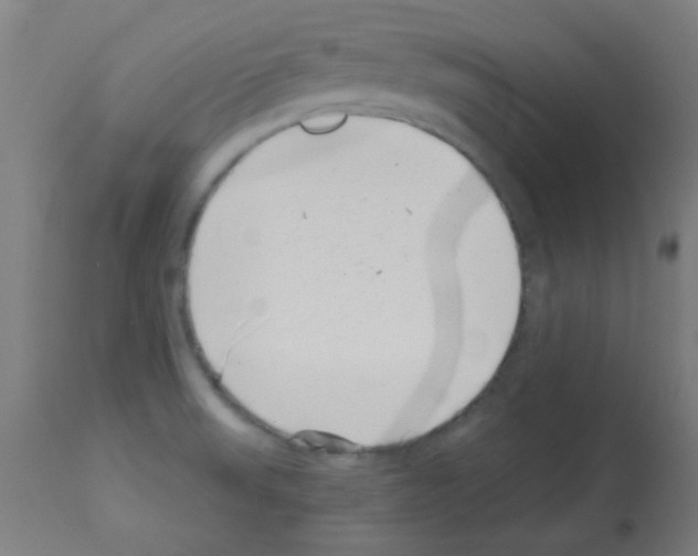 X0000113001523200910081145