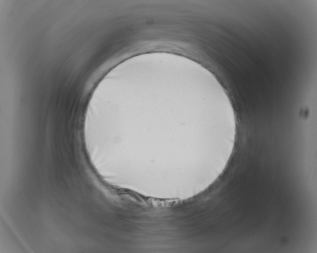 X0000113001525200910081146