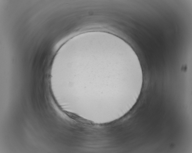 X0000113001526200910081146