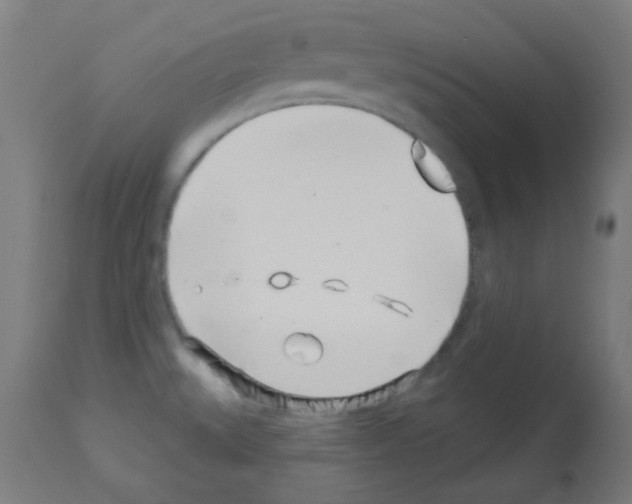 X0000113001527200910081146