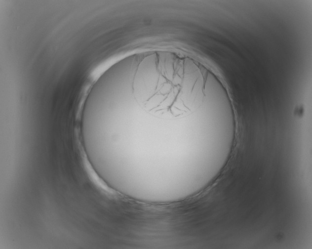 X0000113001528200910081146