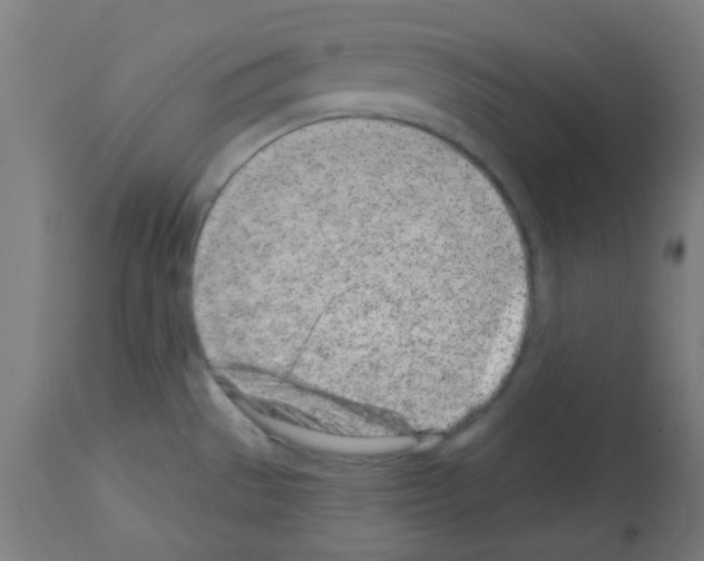 X0000113001529200910081146