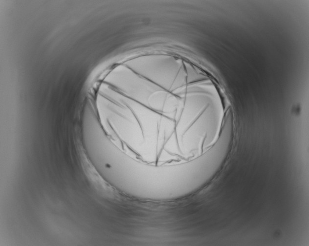 X0000113001530200910081146