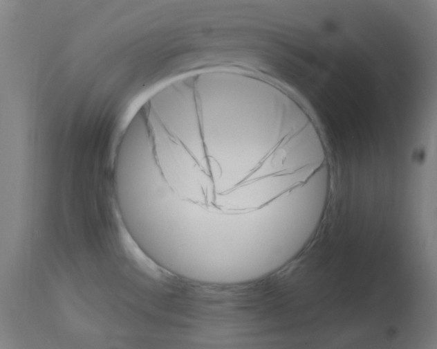 X0000113001532200910081146