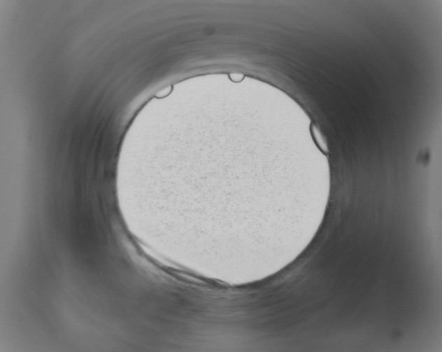 X0000113001534200910081146