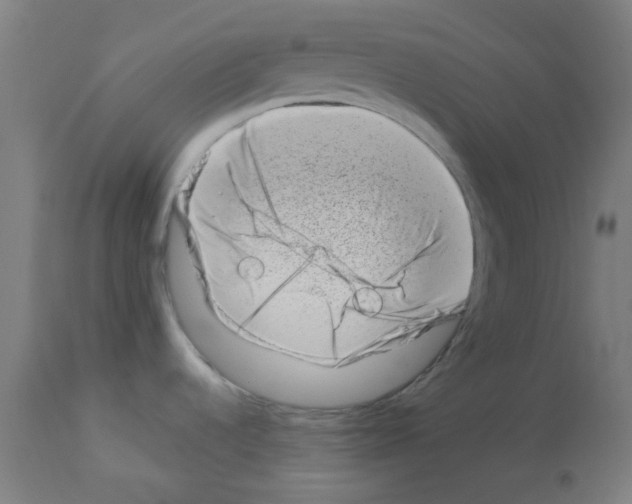 X0000113001536200910081146