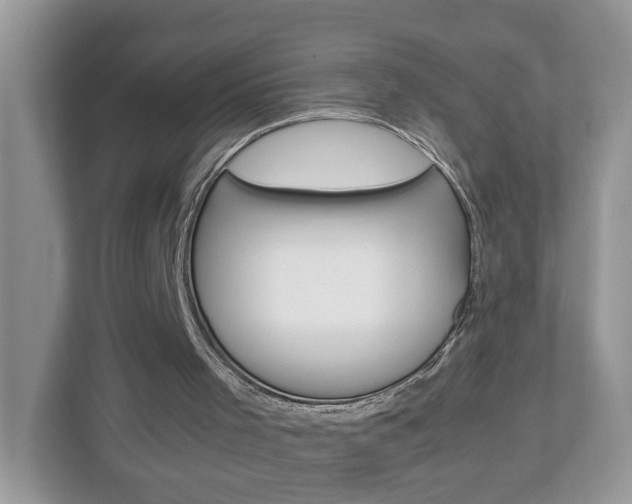 X0000113010001200908270949