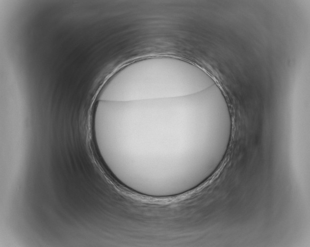 X0000113010002200908270949