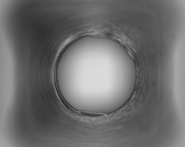 X0000113010003200908270949