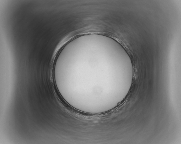 X0000113010004200908270949