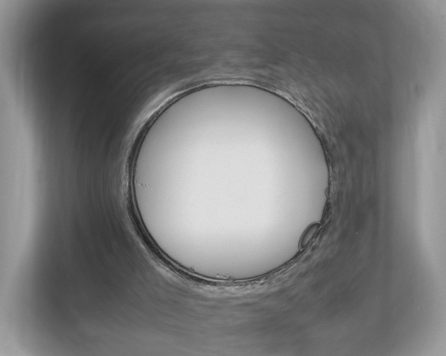 X0000113010005200908270949