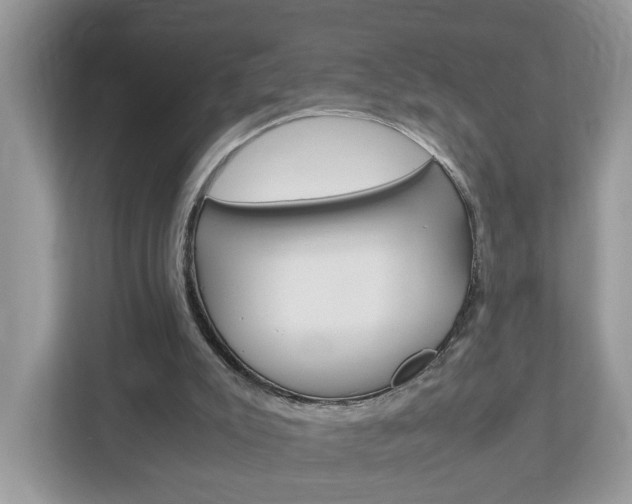 X0000113010007200908270949