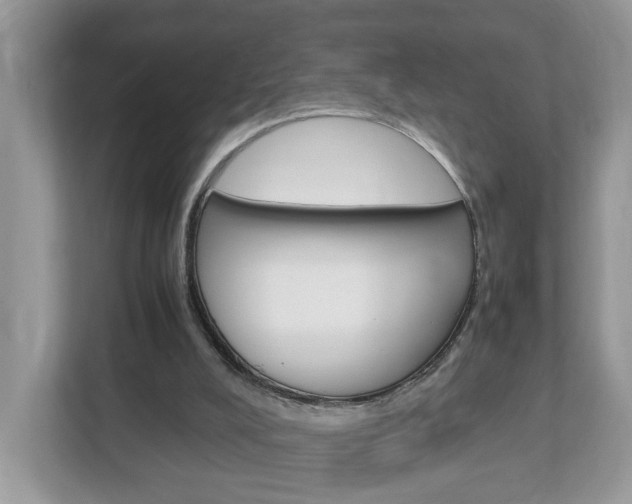 X0000113010008200908270949